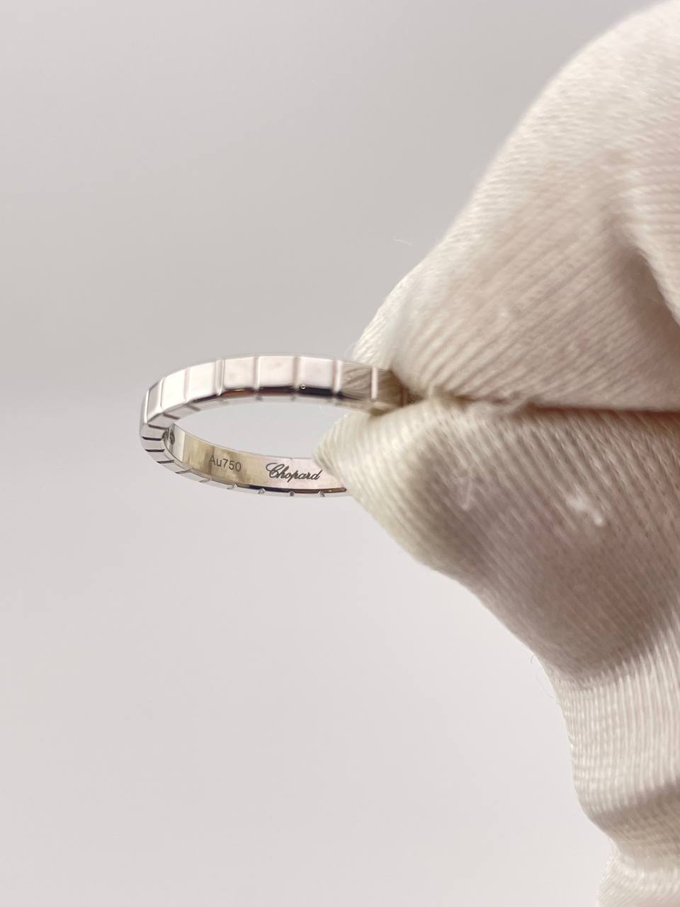 photo_5316997598252046721_y