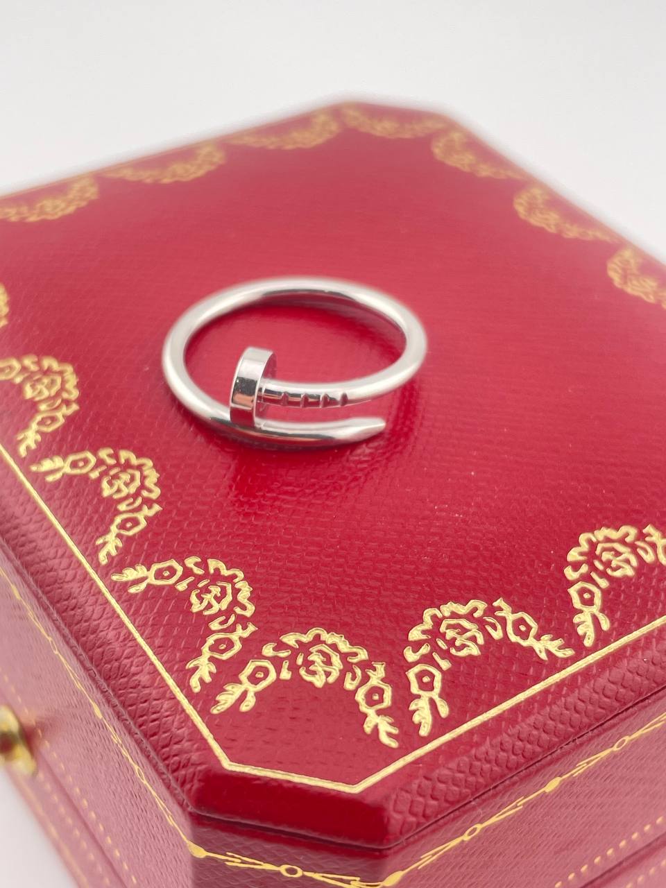 photo_5388925342543713374_y