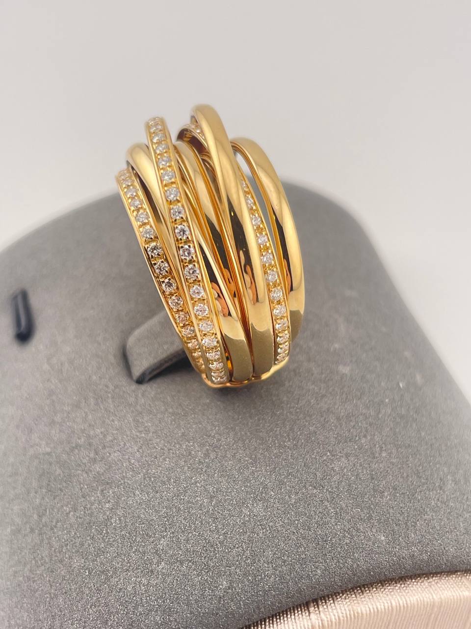 photo_5388925342543713383_y