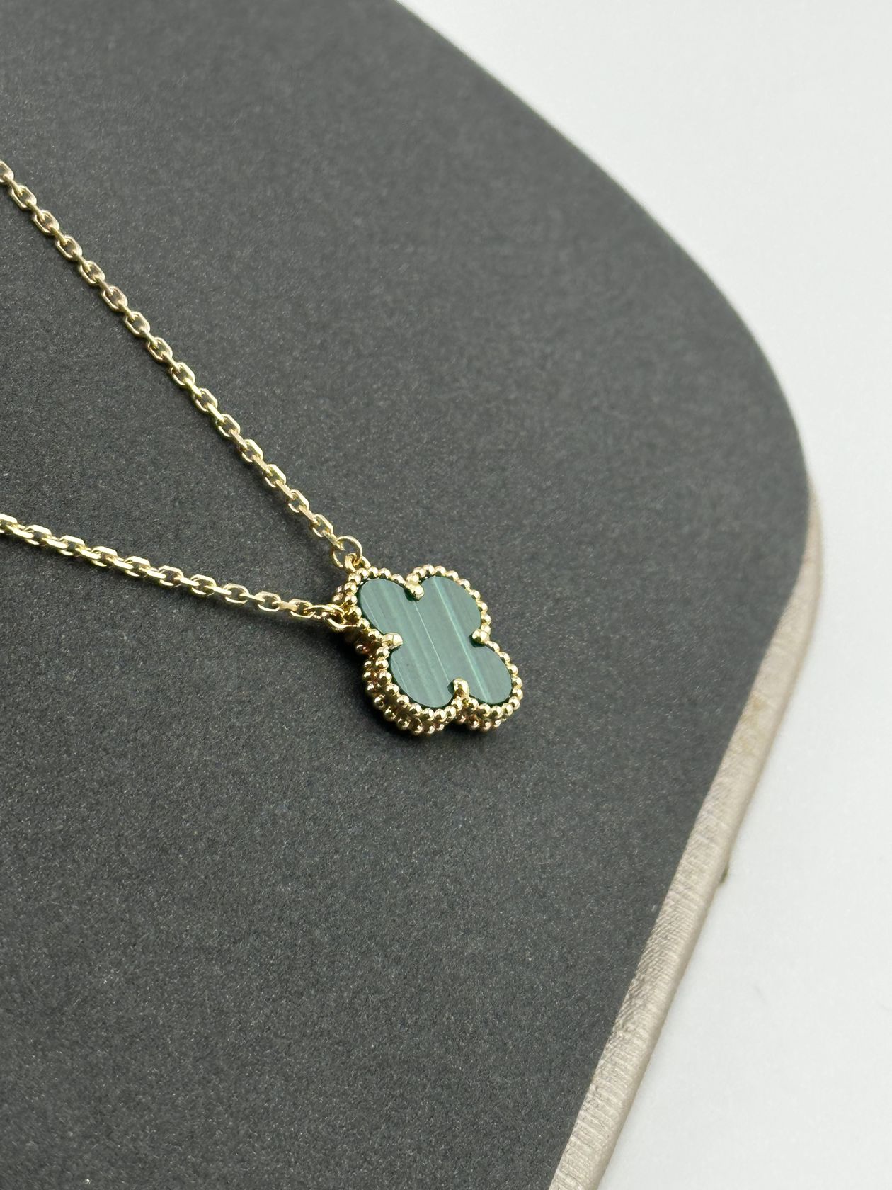 IMG_4869